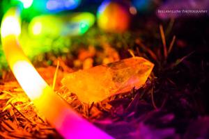 All photos courtesy of Bellawillow Photography