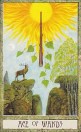 Ace of Wands